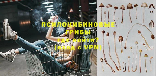 бошки Магадан