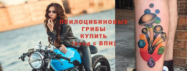 гашик Майский