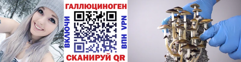 сколько стоит  Сенгилей  KRAKEN онион  Галлюциногенные грибы MAGIC MUSHROOMS 