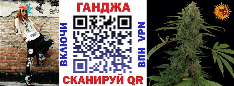как найти Сенгилей МАРИХУАНА сатива